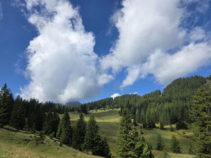 Photo de Andrea Müller le long du parcours