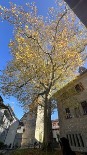 Foto von Frey Biker ????? entlang der Tour