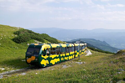 Salamanderbahn