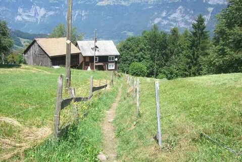 Zum Dessert: Single Trails vom Feinsten
