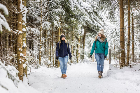 Winterwandern