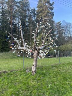 Fotografia z Václav Stejskal na trase