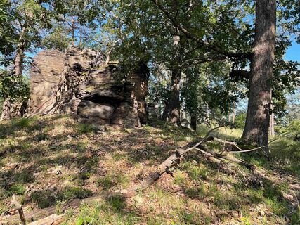 Entlang des Weges