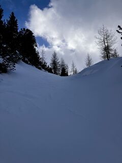 Photo de Andrea van den Berg le long du parcours