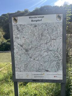 Foto de Ani a lo largo del recorrido