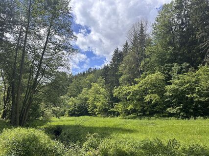 Zdjęcie z Norbert Herbig wzdłuż trasy