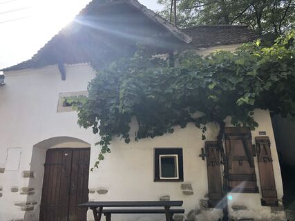 Foto von Mario Maurer entlang der Tour