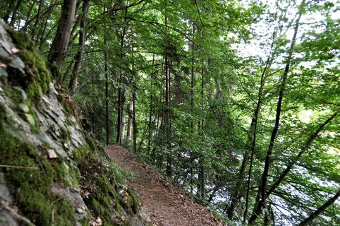 Schmale Pfade oberhalb der Sieg