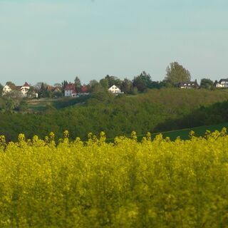 Ottensteiner Hochebene