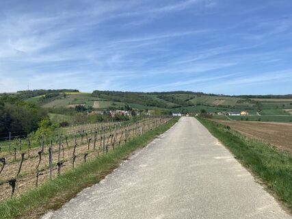 Foto von Florian Gerl entlang der Tour