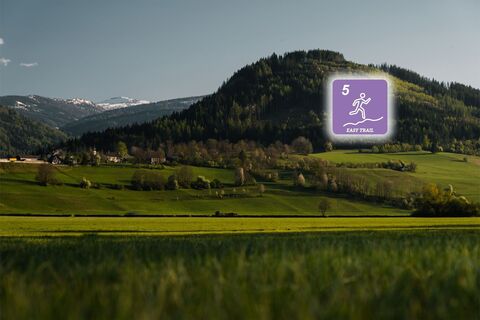 Der Kulm von seiner "sanften" der Stainacher Ansicht