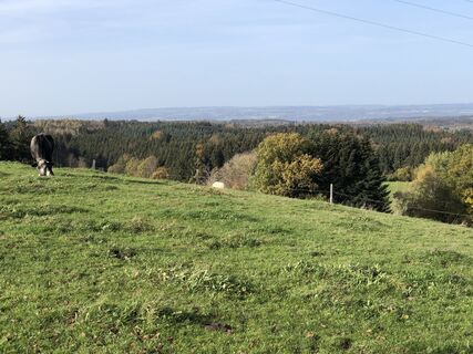 Foto von Heino B entlang der Tour
