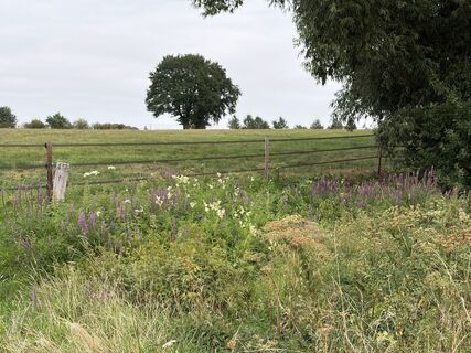 Photo de Sandra Wagemans le long du parcours