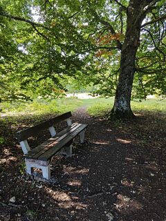 Zdjęcie z Denzo wzdłuż trasy