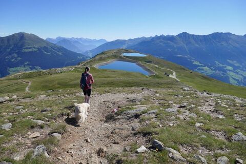 Fisser Joch - Frommes - Kuh Alm - Fiss