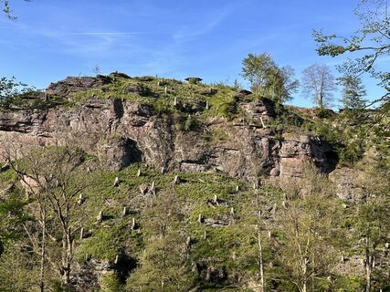 Fotografia z Norbert Herbig na trase