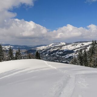 Schneeschuhtrail Wolzenalp - Ebnat-Kappel