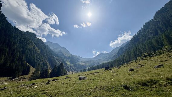 Fotografija s spletne strani Tohtoh na poti