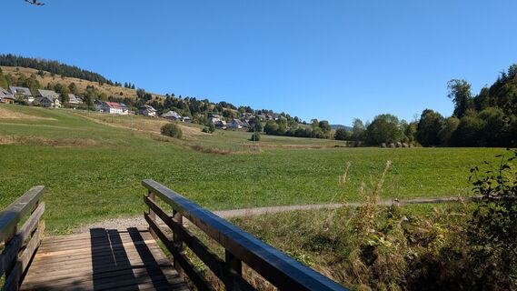 Bernau im Schwarzwald Über die Höhen entlang der Alb (3)