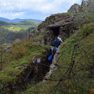 Harmannswillerkopf - Viel Armand