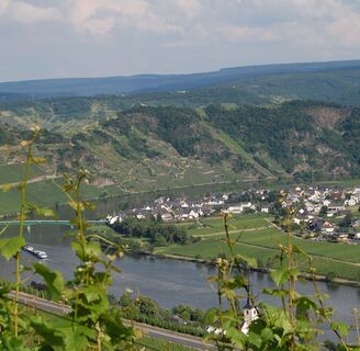 Moselschleife bei Piesport