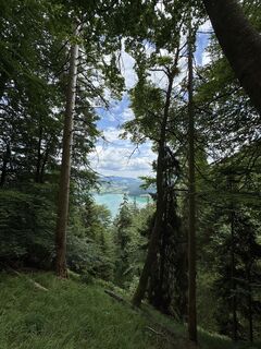 Fotografia z Dominik Kogseder na trase