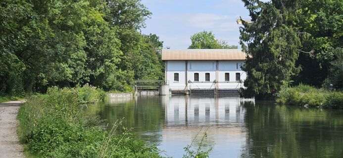 Fotografia z garrincha na trase