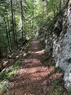 Foto von Elke Preßl entlang der Tour