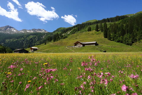 Hubalm in Hüttschlag