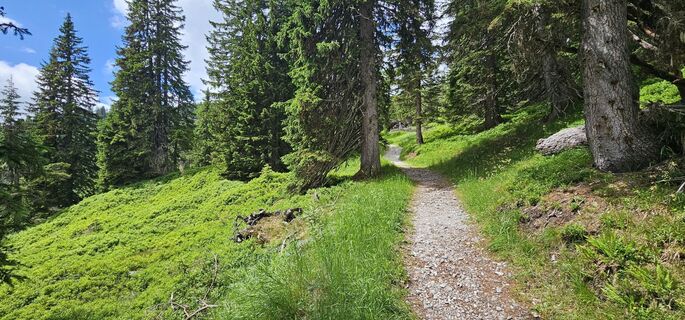 Fotografie z Michael Ganswind na trase