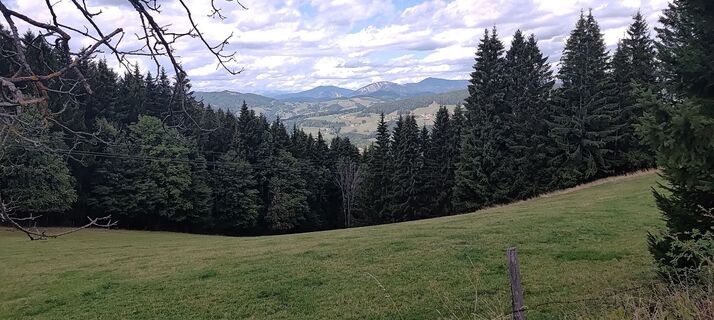 Photo de wolfkl le long du parcours