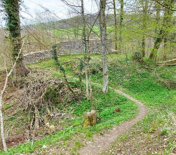 boebikon-waldweg
