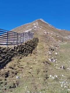 Photo de Albert Grillitsch le long du parcours