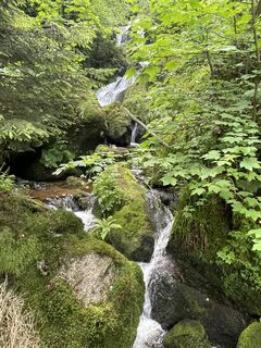 Photo de Ralf Umminger le long du parcours