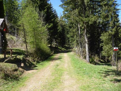 Weggabelung - Schwarzer Herrgott