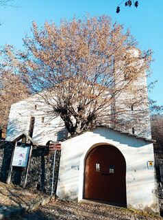 Fotografija s spletne strani Paolo Paganini na poti