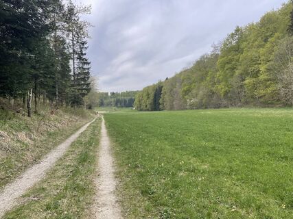 Foto von Radovan Culic entlang der Tour