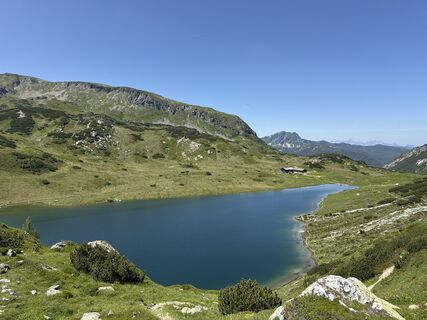 Fotografia z Grizzli na trase