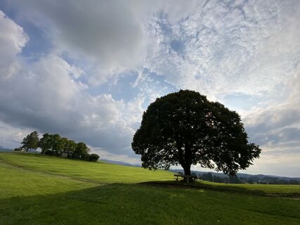 Foto von Sven Krieblin entlang der Tour