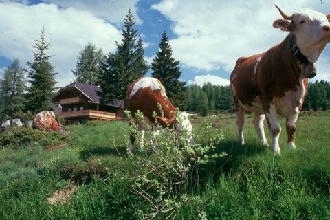 Sonnalmhütte Sonnalm Stubeck bei Gmünd