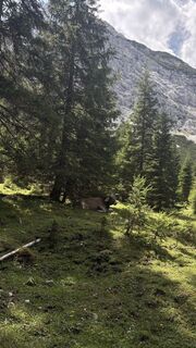 Foto von Leon Janowski entlang der Tour