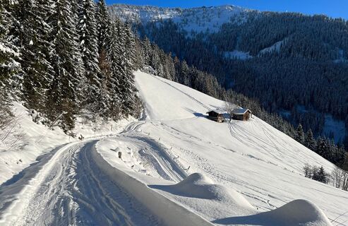 Abstieg Zottaalm