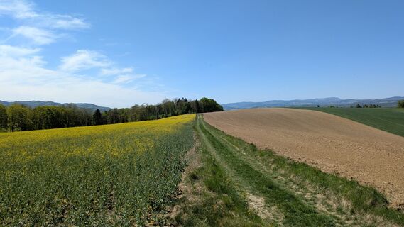 Foto von Edero entlang der Tour