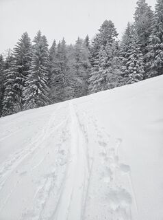 Fotografie z Rafi81 na trase