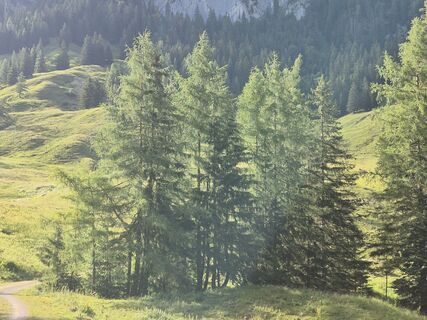Foto von Jakob Krimbacher 1 entlang der Tour