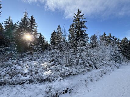 Foto von Robert Corazza entlang der Tour