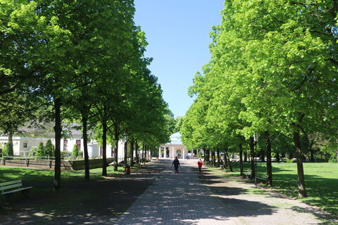 Zemljevid