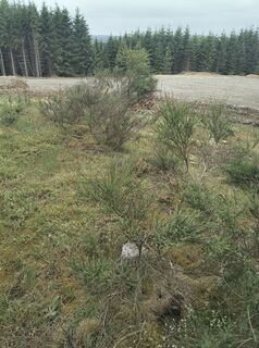 Foto von matthias_koch entlang der Tour