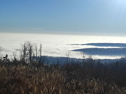 Zdjęcie z Làszló Visi wzdłuż trasy