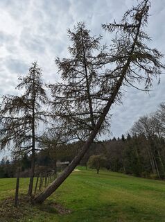 Fotografie z Mimi na trase